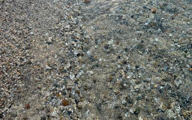 Beach next to the House Agni