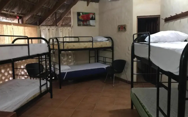 Palapa Hut Hostel & Camping