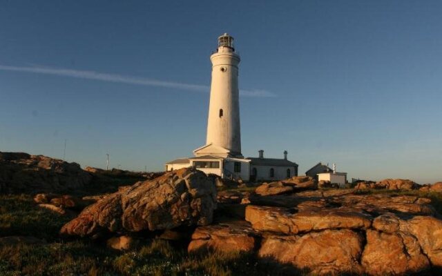 Seals Backpackers