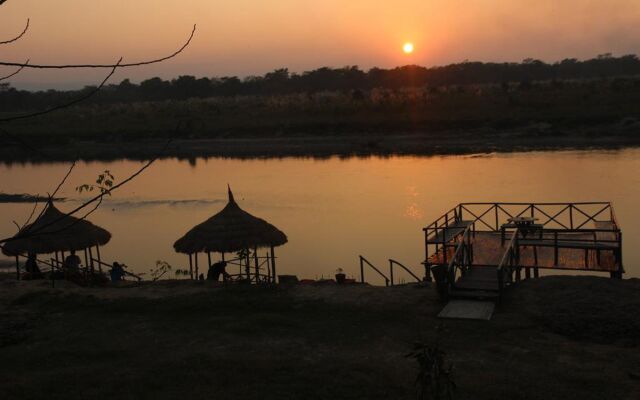 Jungle Sunset Camp