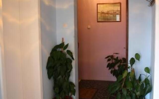 Apartments Miše