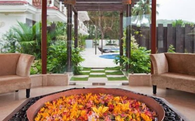 White Pearl Suites
