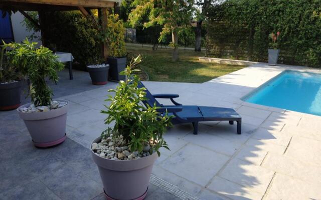 Les Agapanthes du frontonnais