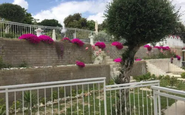 Zia Bi Bed and Breakfast