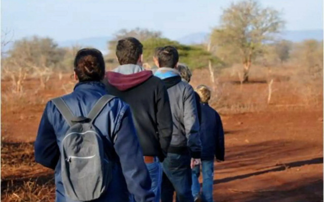 Africamps at White Elephant Safaris