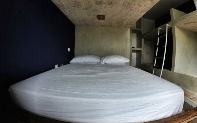 Lobo de Mar Hostel Playa del Carmen