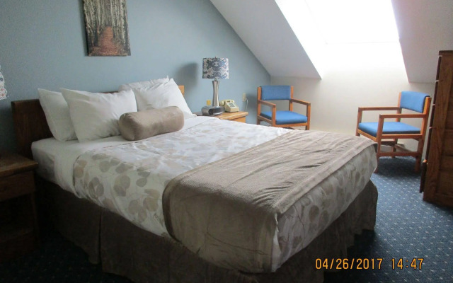 Black Bear Lodge