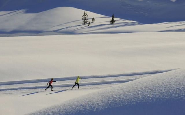 Haus Anna Apartments