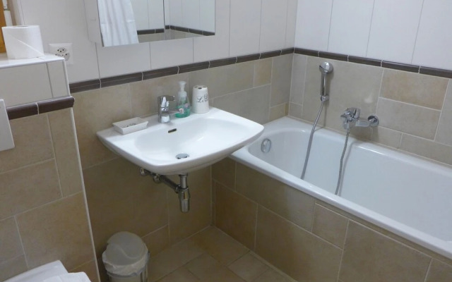 Domaine des Reines C10 Nendaz