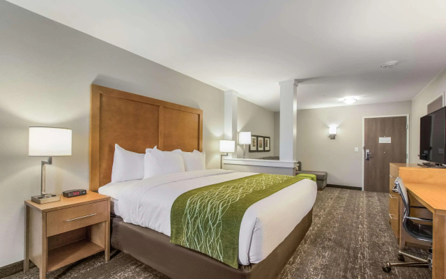 Comfort Inn Jasper South