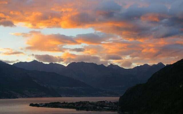 Riva Bellano Lavanda