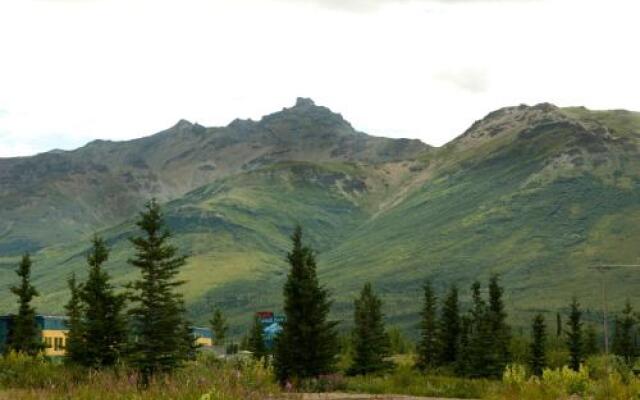 Denali Park Village