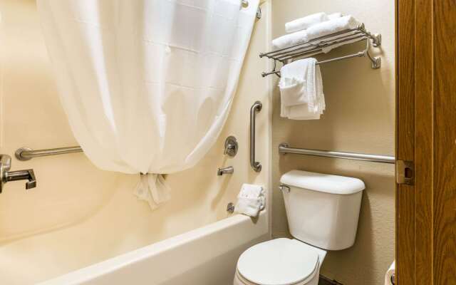 Econo Lodge Inn & Suites Shepherd of the Hills Expy