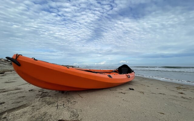 Ecoxata - Adults Only