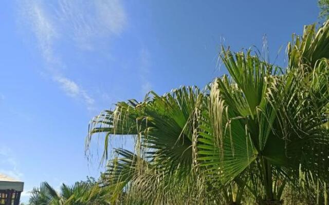 Giardino di Circe
