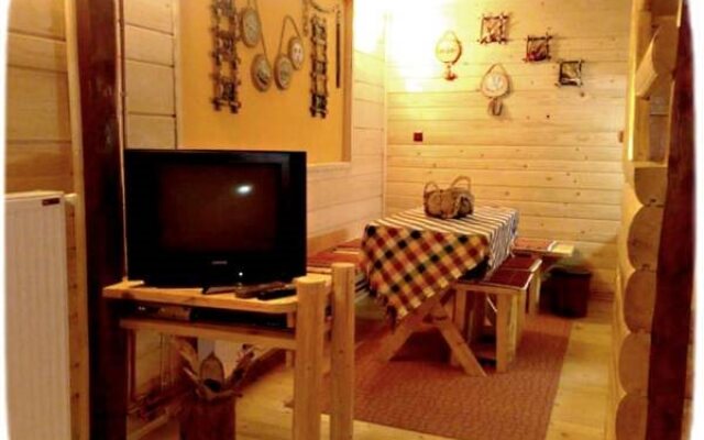 Art Apartments Minic