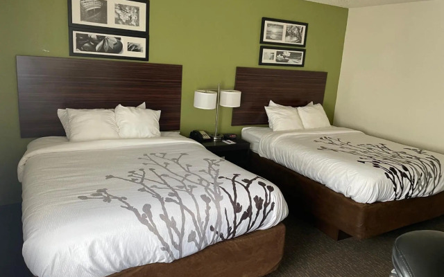 Sleep Inn & Suites near Sports World Blvd