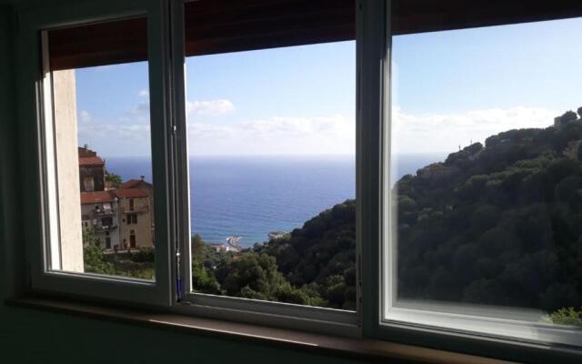 I Fiori Di Donna Ester