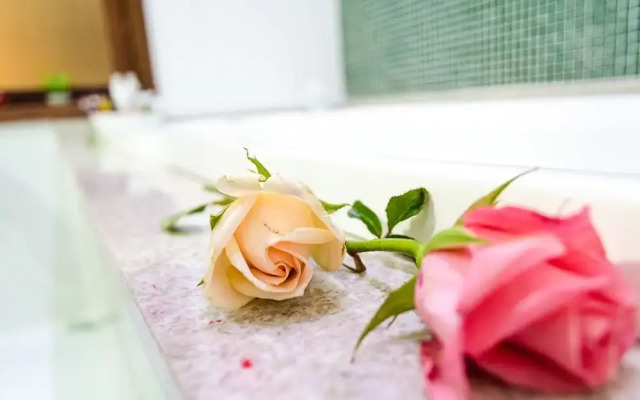 Hotel Porto da Serra