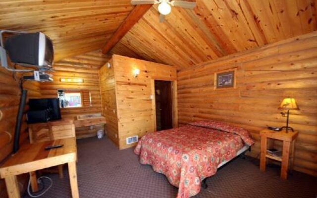 Bear Country Cabin #4