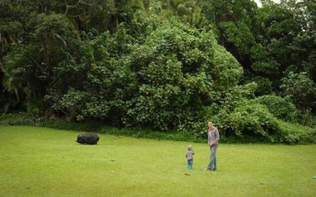 Umtamvuna River Lodge