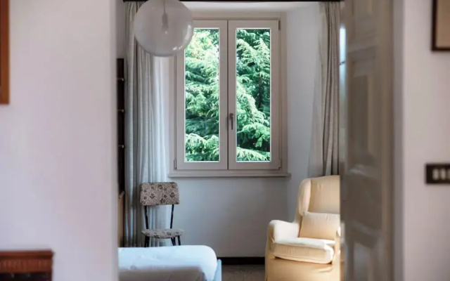 Riflessi Sul Lago