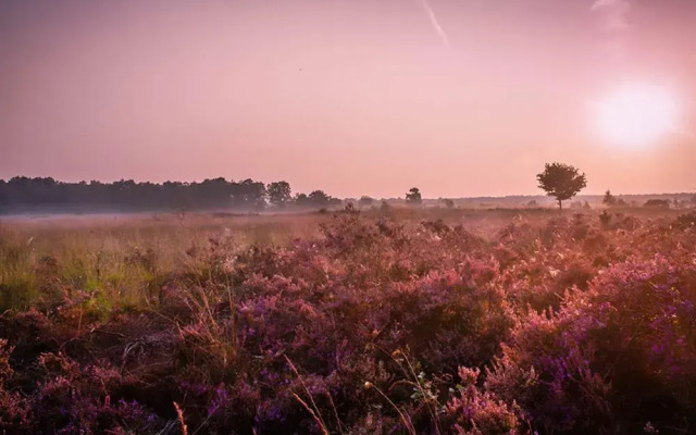 Two-Person Hotel Lodge