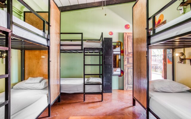 Selina Antigua - Hostel