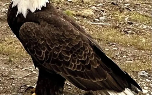 Paradise Suites Eagles Nest Apt C