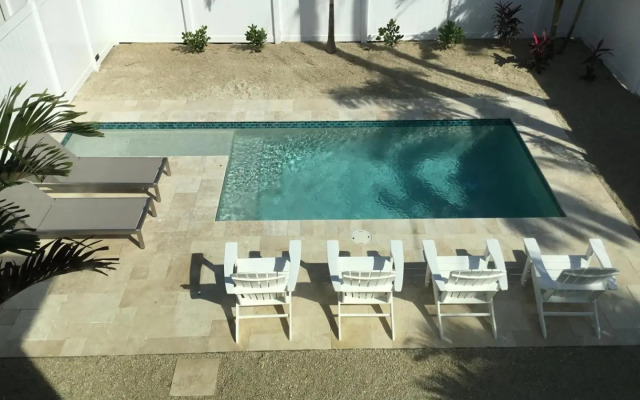 AMI Sand Dollar - 6403 B Holmes