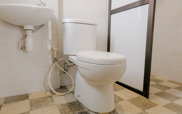 OYO 2350 Panorama Inn Residence