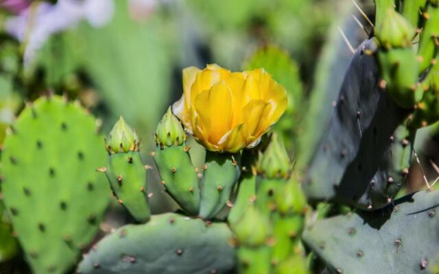 Valentina Guest House