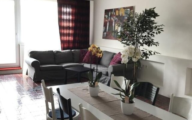 B&B Home