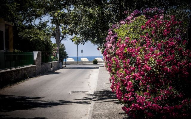 Residence Oliveto a Mare