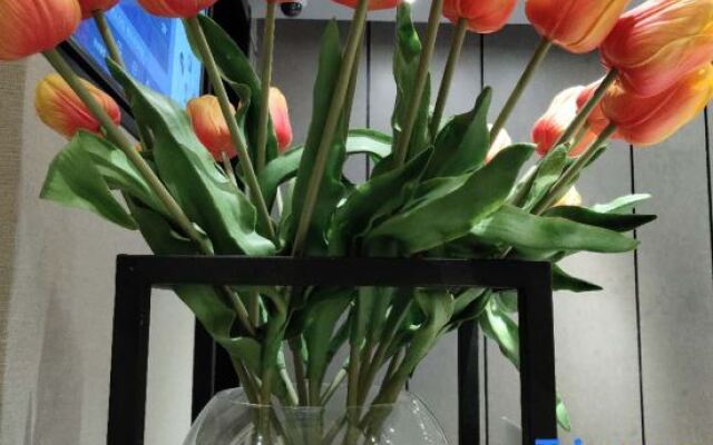 Shoulvrujia Ease Hotel (Ningbo Tianyi Square Jiangxia Bridge Subway Station)