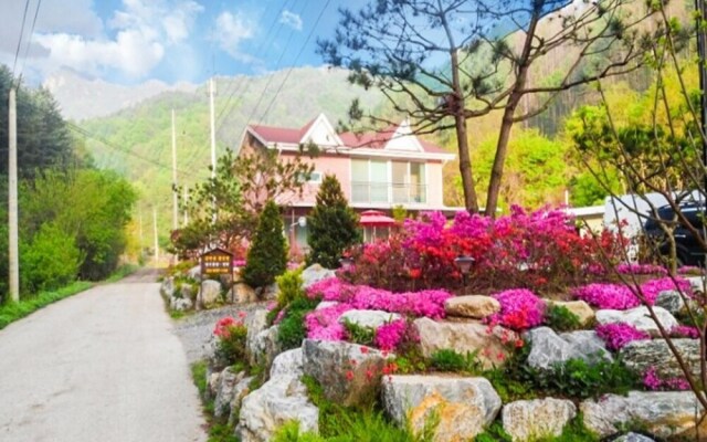 Wonju Gamaksan Hwangtobang Pension