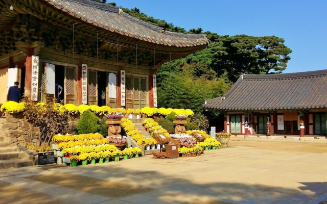 Better Guest House