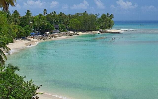Schooner Bay 206 - Condothe Palms