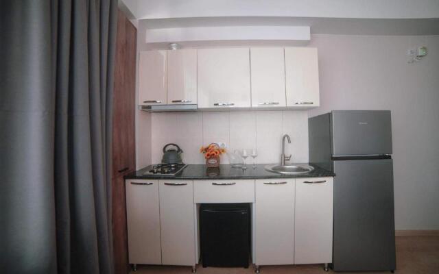 Bakuriani Plaza A221 ბაკურიანი პლაზა A221