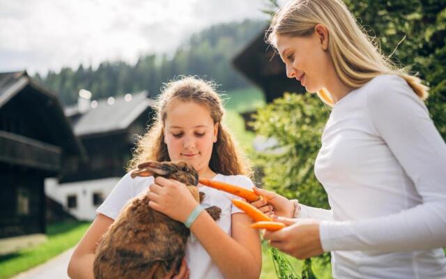 Kirchleitn Feriendorf Dorf Kleinwild