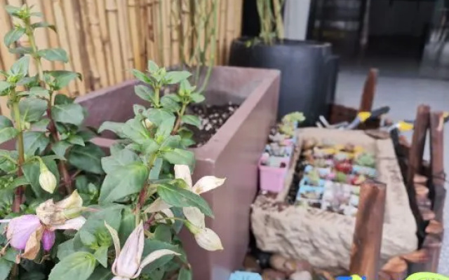 Hangzhou Unseeing Shanshan Homestay – Outside – Hangzhou