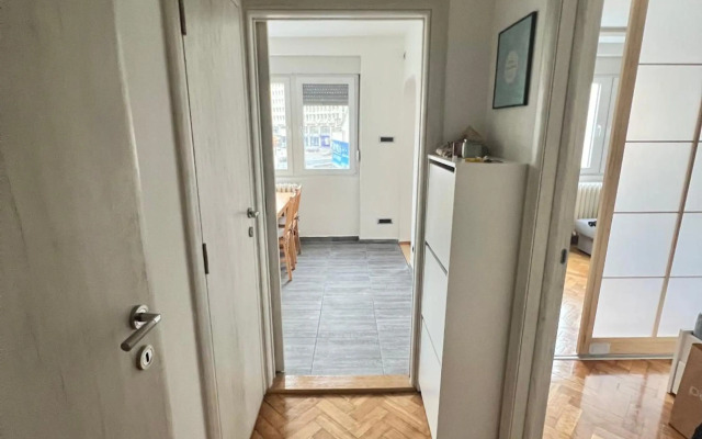 Comfortable apartment in city hub