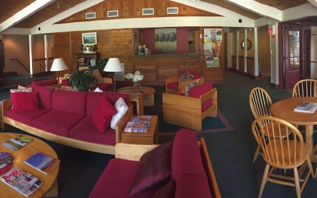 Tälta Lodge, A Bluebird by Lark