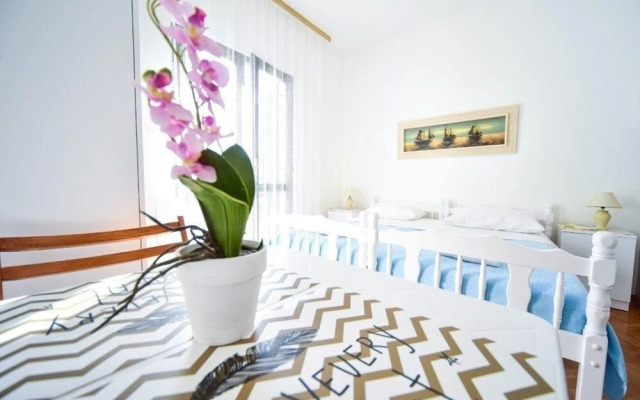 Ivan Z2 - 250 m From Beach - A1