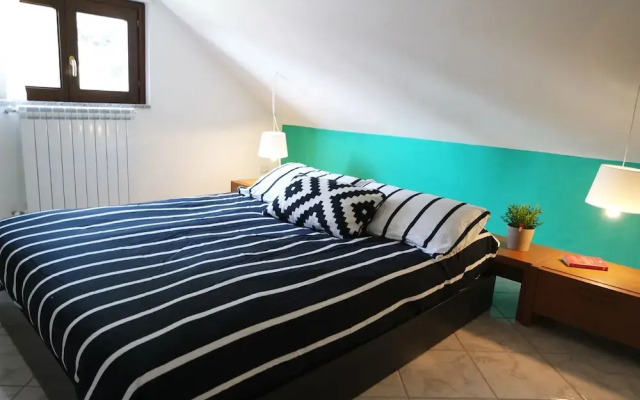Green Suite