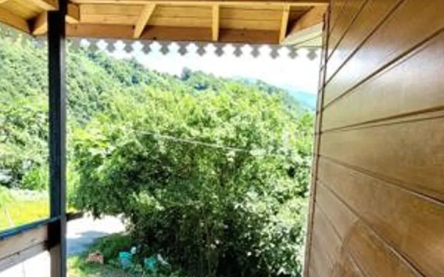 Umut Apart Rize
