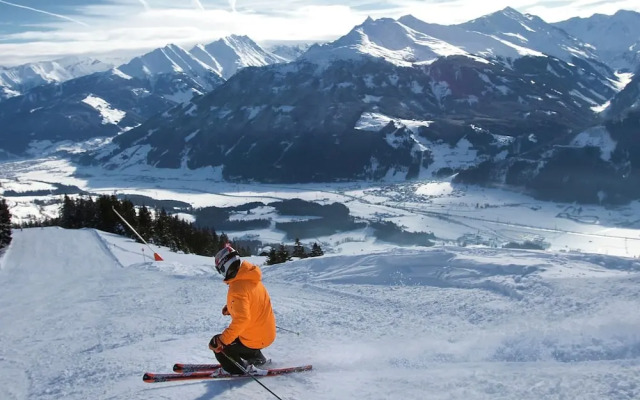 Apartment in ski Area Kitzski Hollersbach