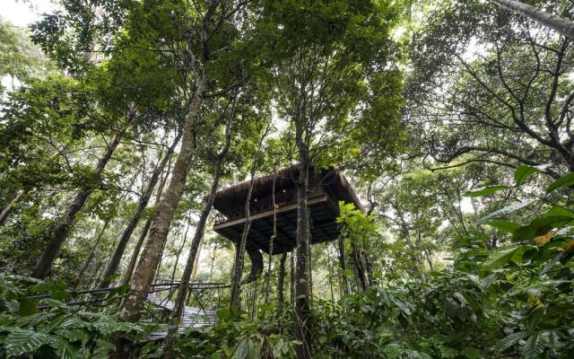 Pepper Trail