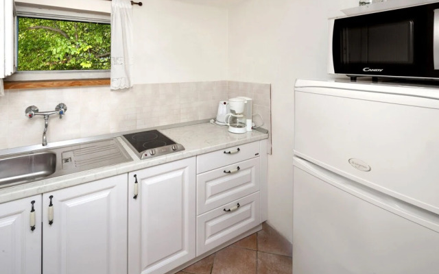 Hibiskus Tadini in Tadini