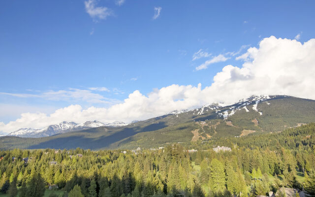 The Ironwood